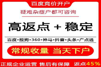 百度竞价包年推广策略深度解读与案例分析
